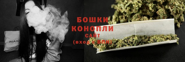 тгк Инта