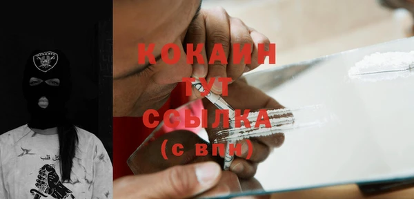 соль ск Инсар