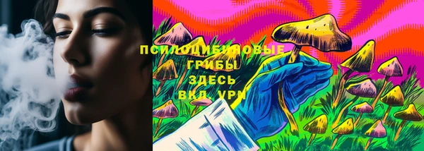 тгк Инта