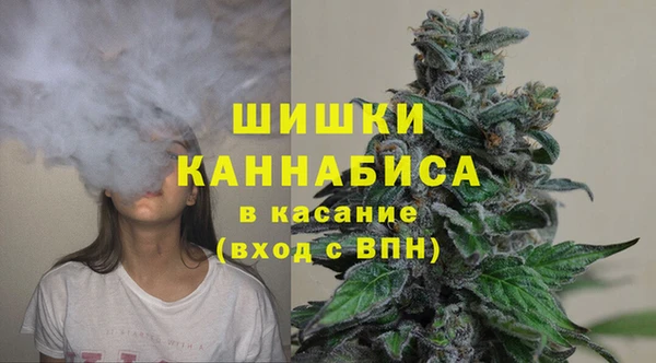 MESCALINE Покачи