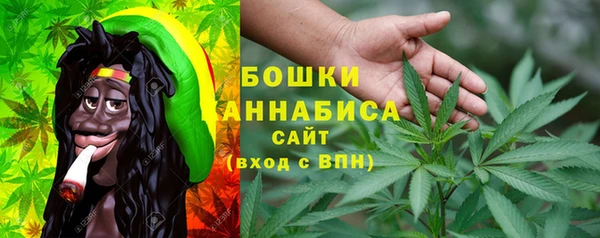 тгк Инта