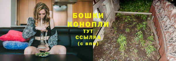 мяу мяу кристалл Иннополис